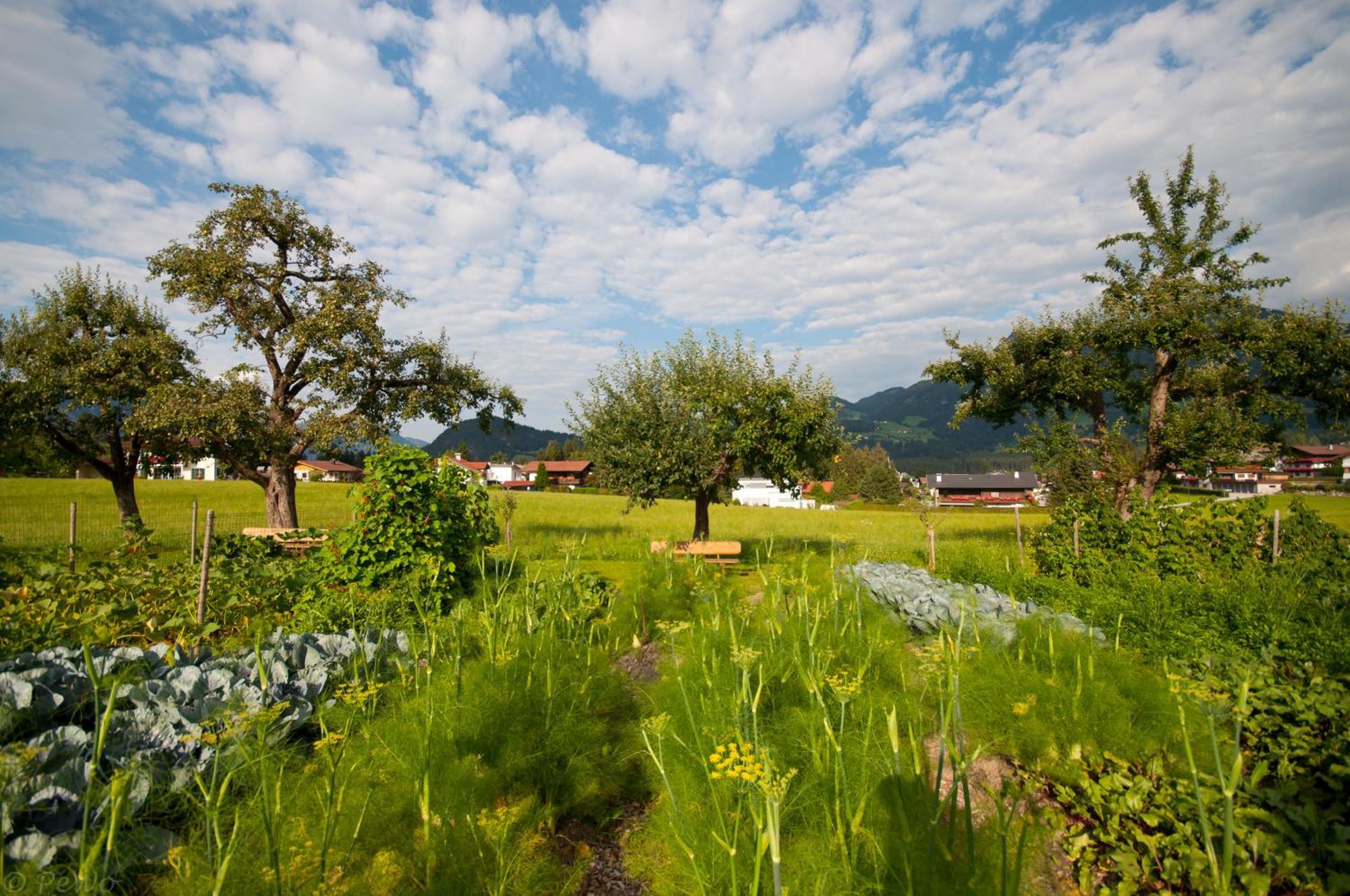 Hotel Pirchnerhof 4*